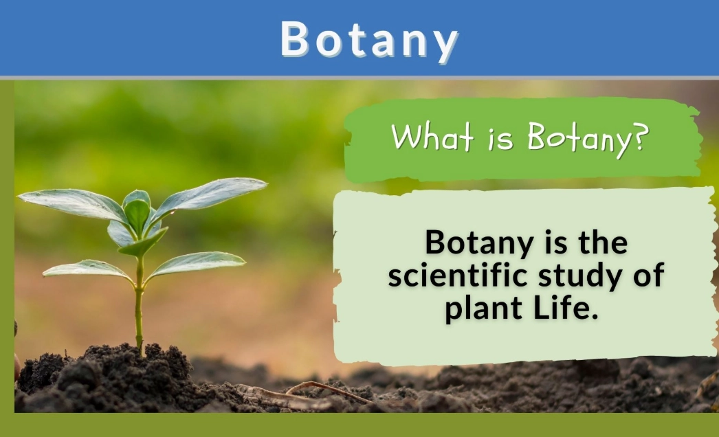 botany