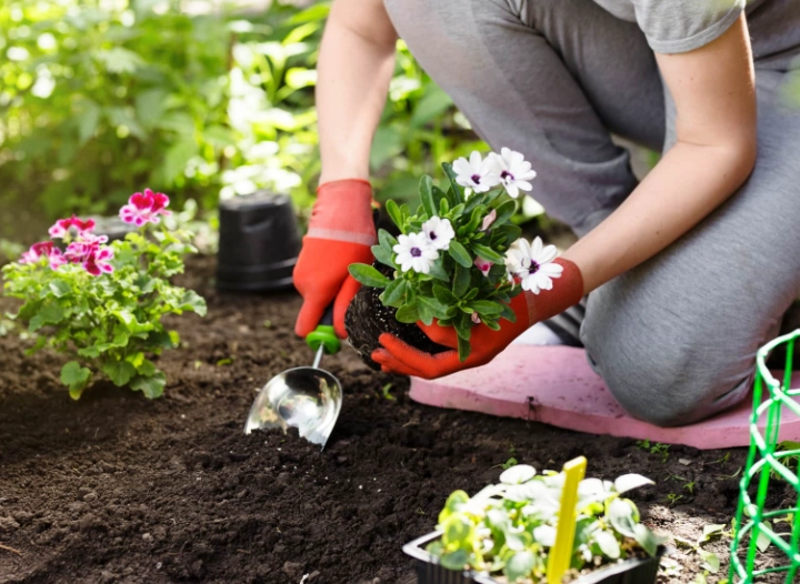 spring garden planting schedule spring garden planting schedule