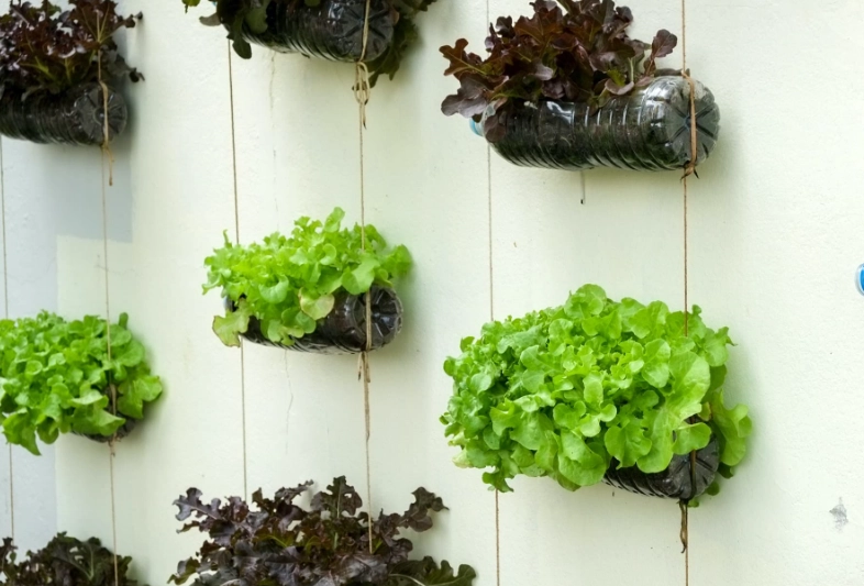 indoor vertical garden indoor vertical garden