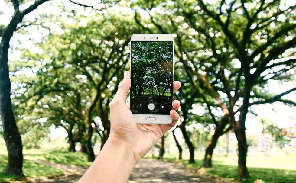 plant identification app