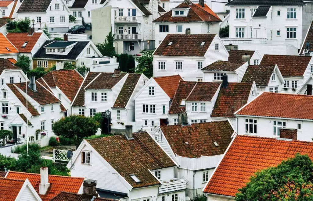 house plant identification