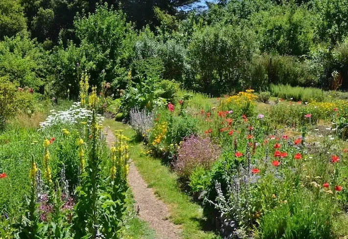 biodiversity conservation