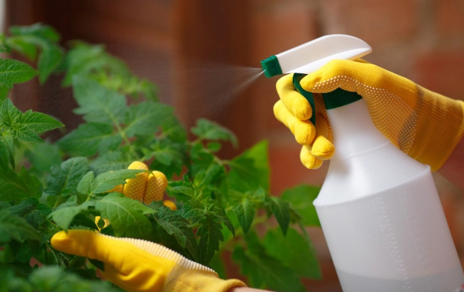 natural pest control