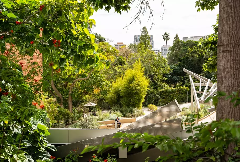 plant species diversity