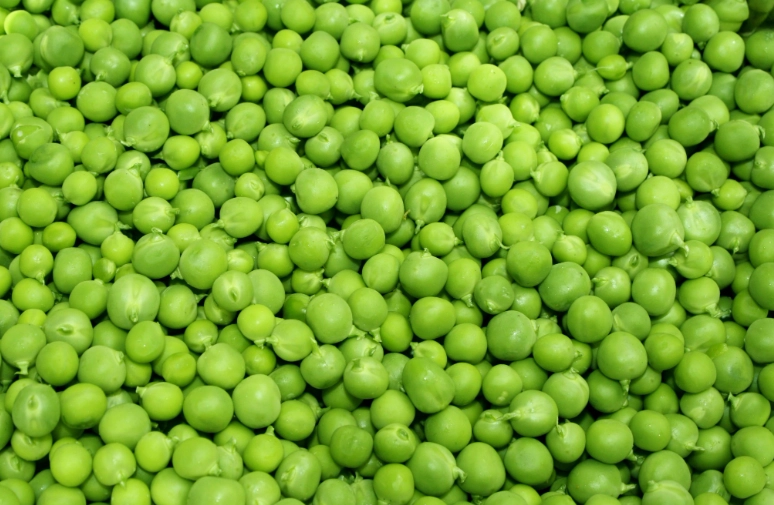 how to grow peas how to grow peas