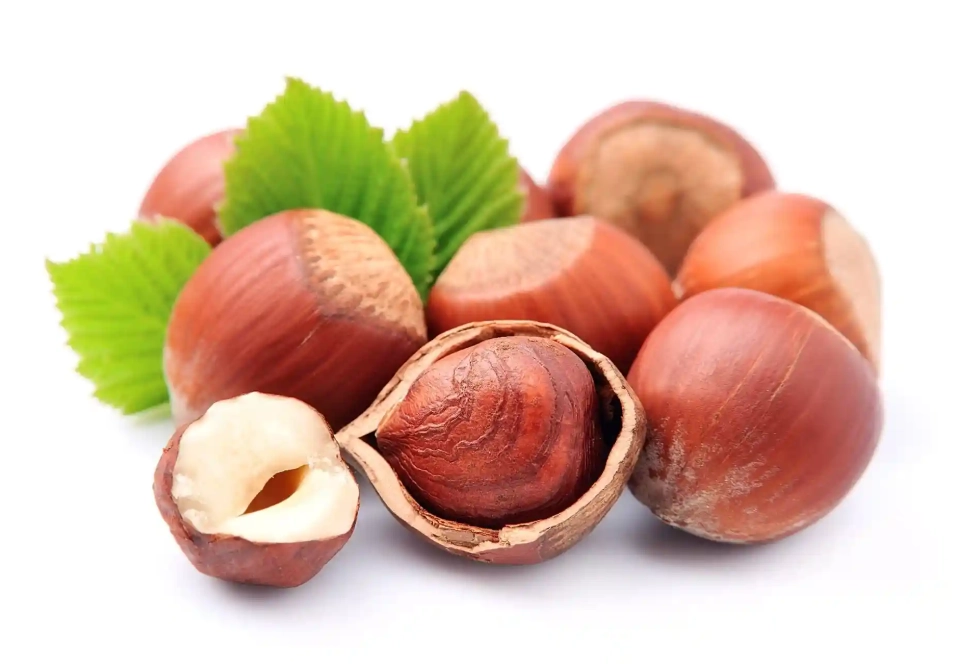 hazelnut uses