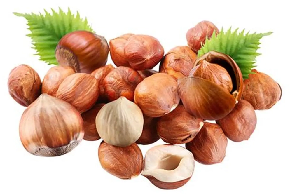 how to store hazelnuts