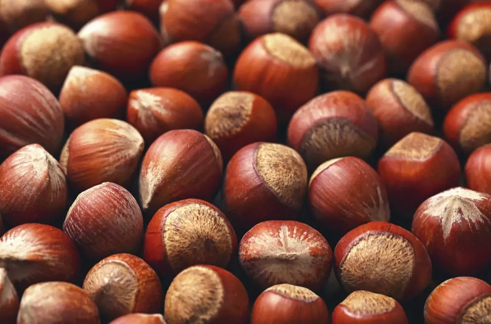 how to store hazelnuts